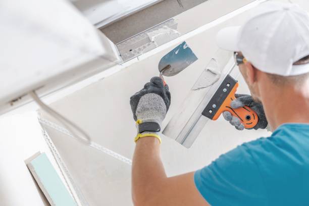 Best Mold Odor Removal Services  in Tabor City, NC